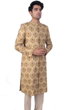 Pale Olive Threadwork Sherwani